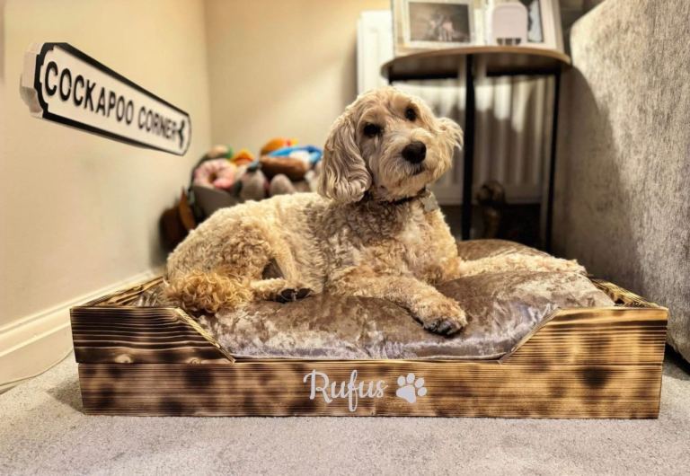 🐾 Handmade Dog Beds 🐾