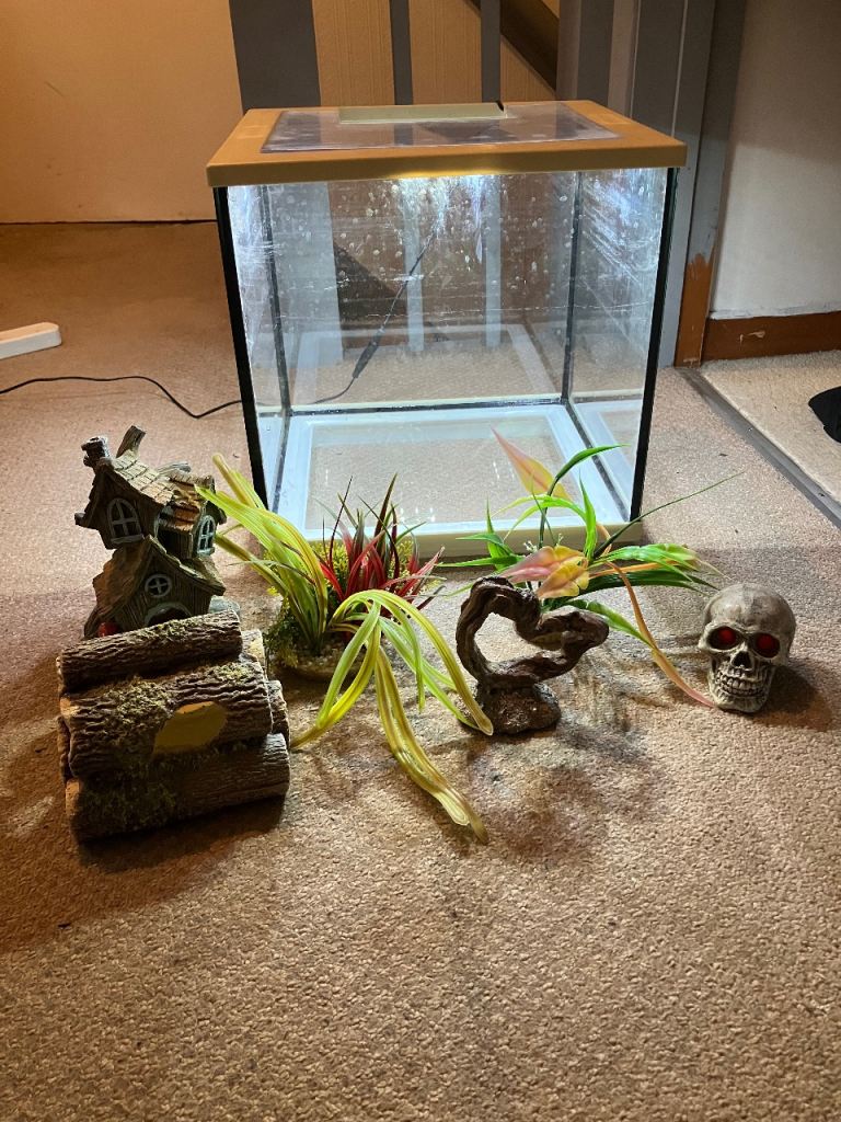 Fish Tank with light and accessories 
