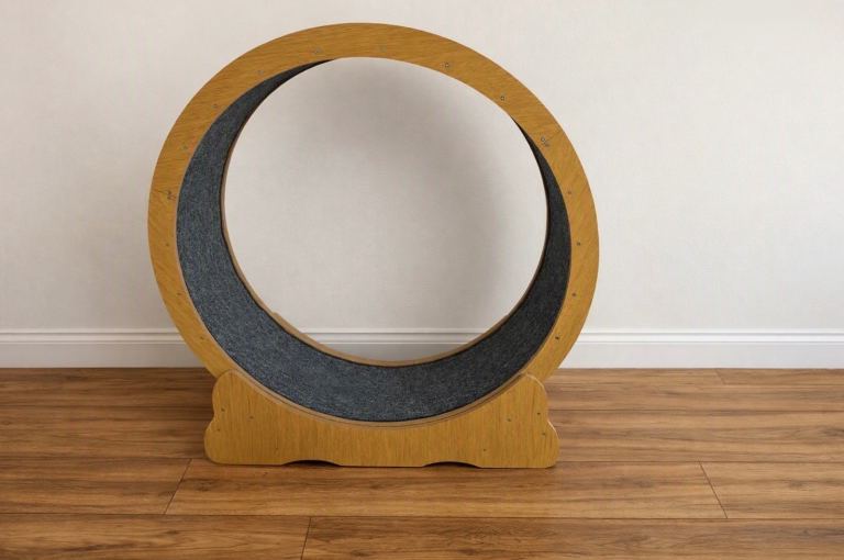 Cat Exercise Running Wheel - Treadmill
