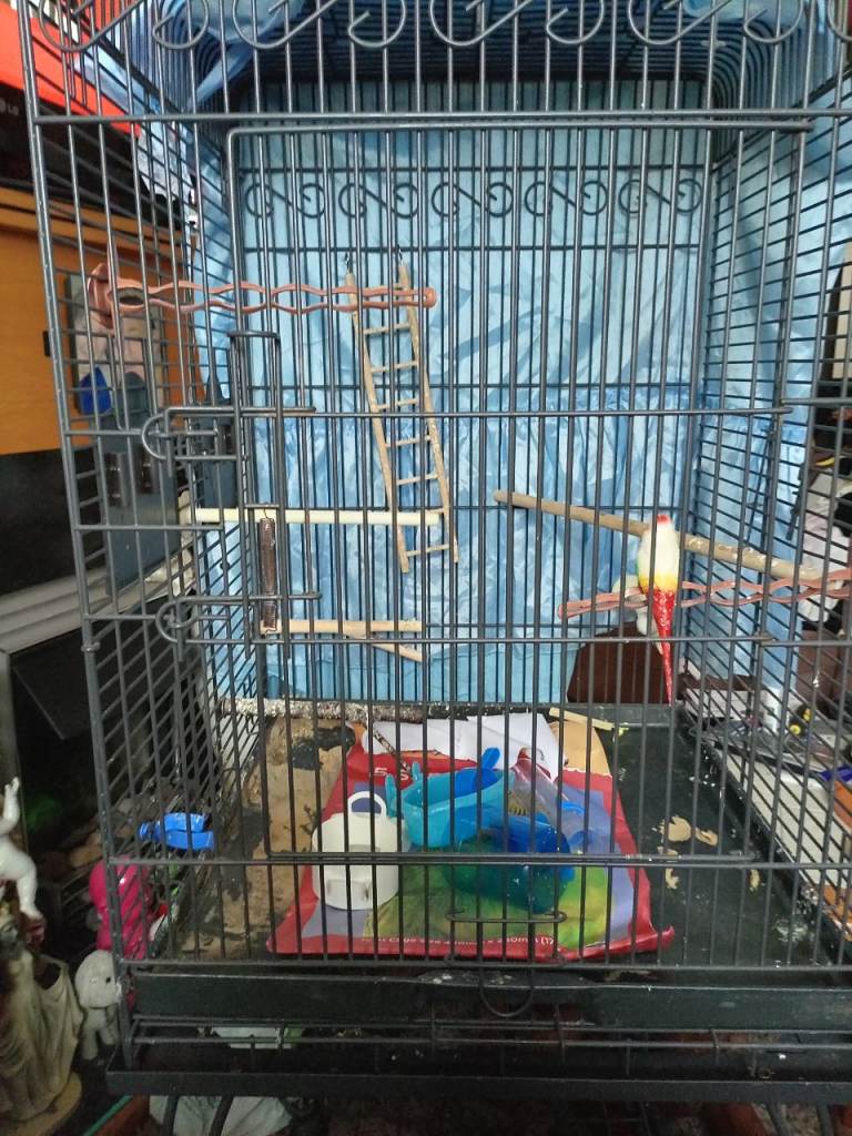 Large bird cage 