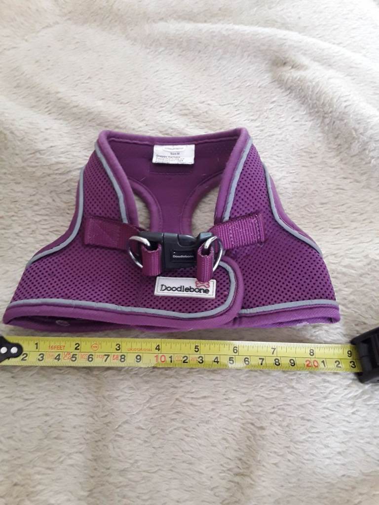 Dog harness size small