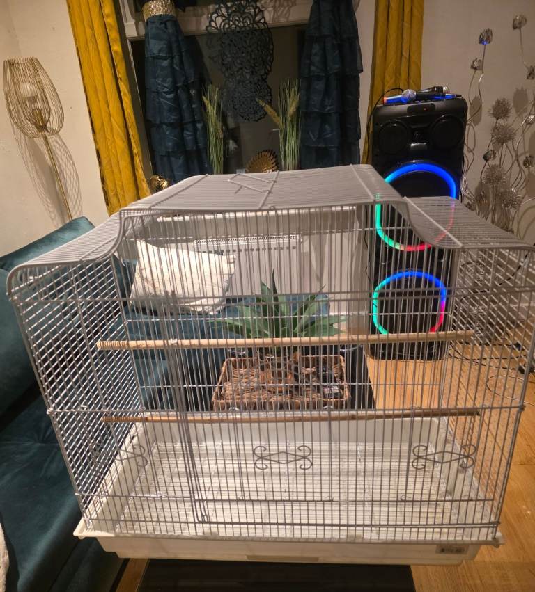 Bird cage 