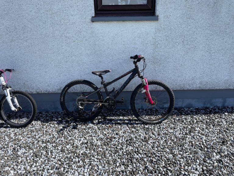 Kids bike carrera 