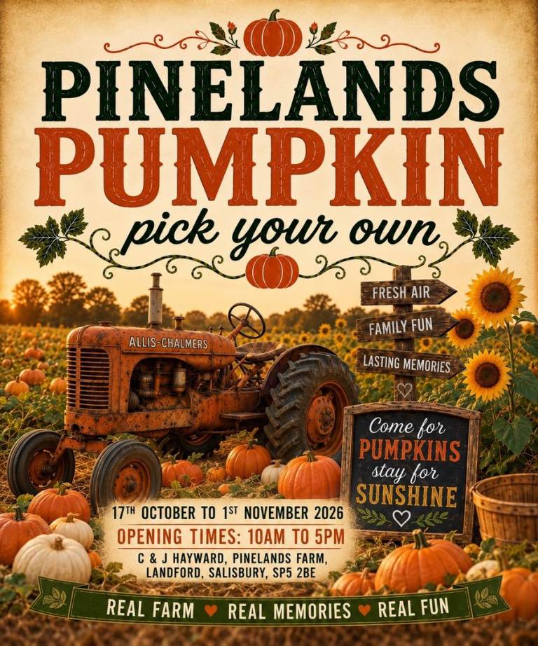 PINELANDS PUMPKIN PICK YOUR OWN