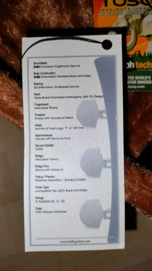 Faith - Guitar and Case Semi Acoustic