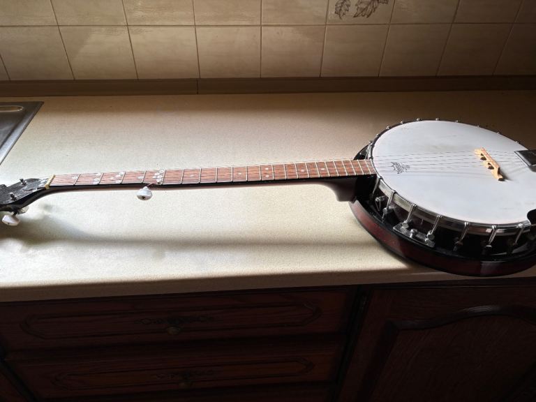 Ozark 5 string banjo