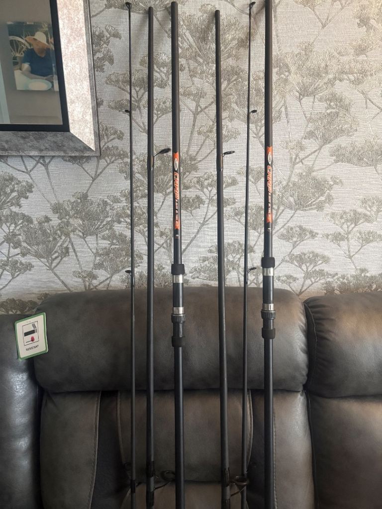 2 carp fishing rods 