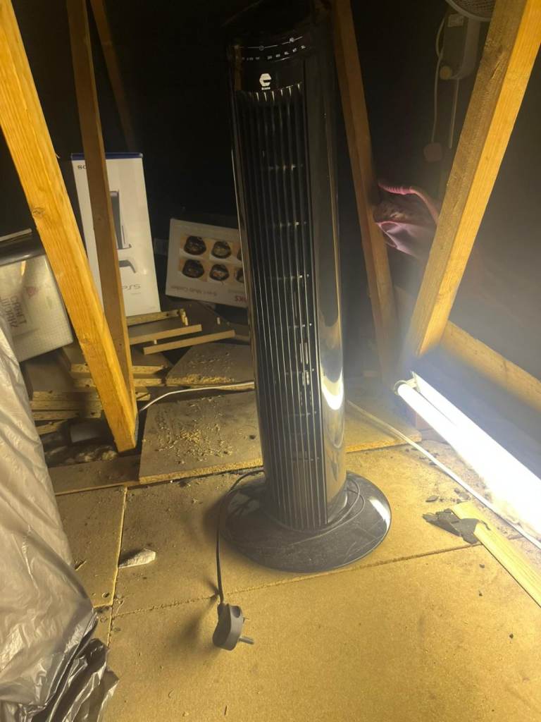 Tower and round fans