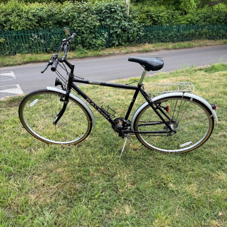 Raleigh Pioneer Classic 10 SIS