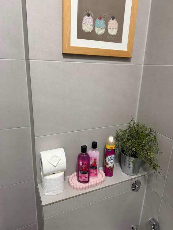 Cleaning and Ironing services 