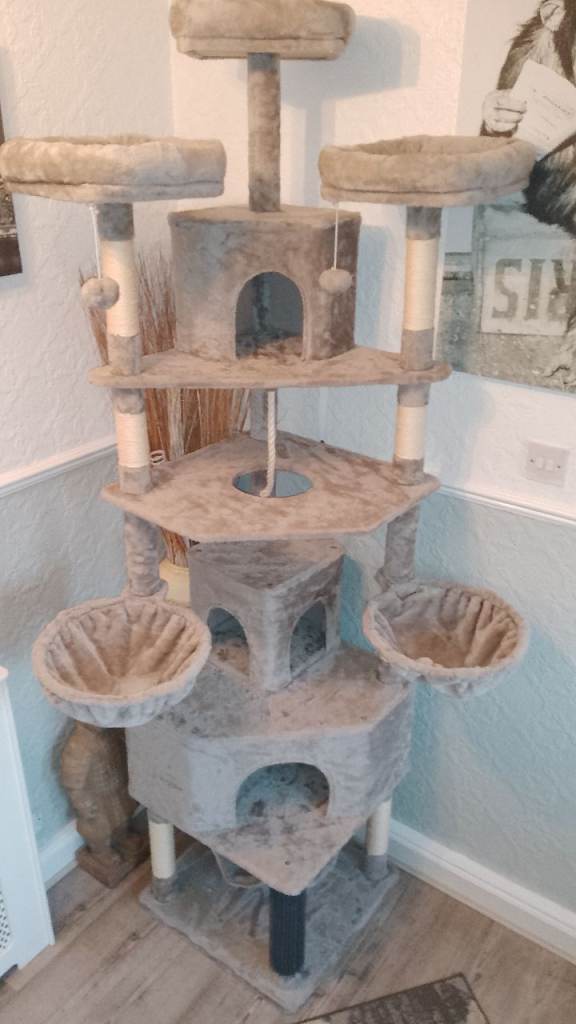 Extra Tall Cat Play Tree - 220cm High like new