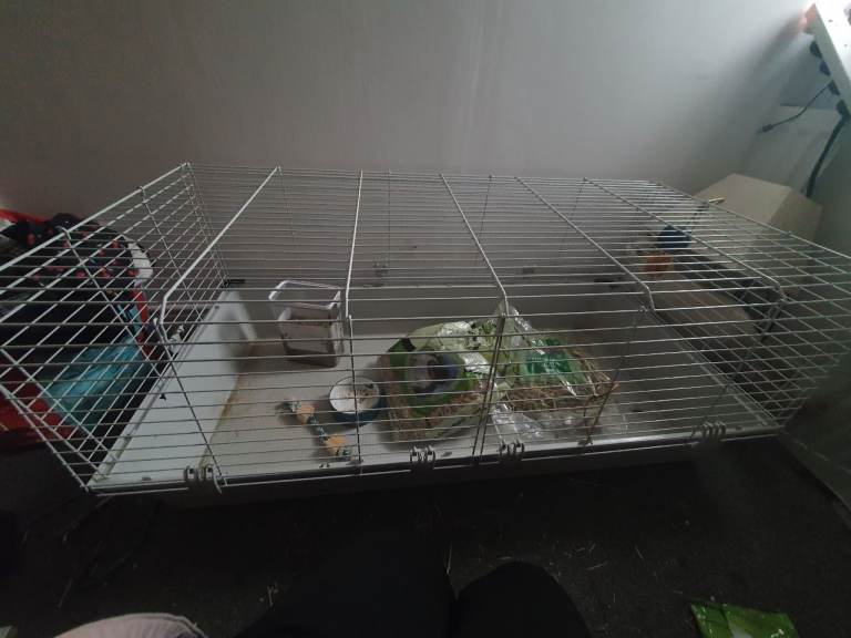 Large pet cage