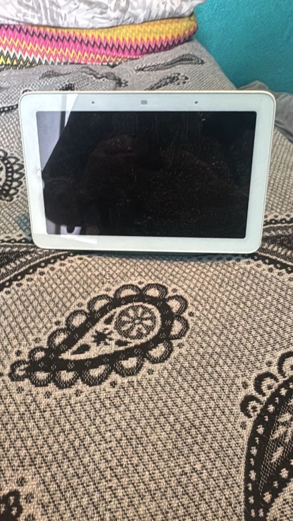 iPad and other items job lot 