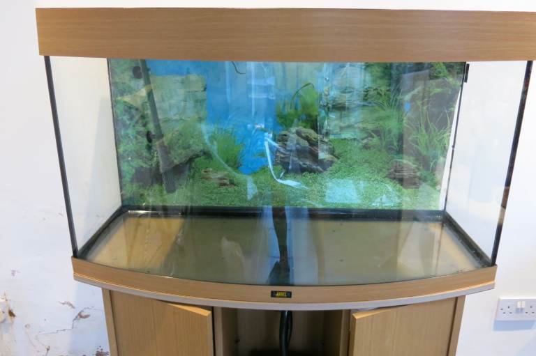 Large Vivarium 
