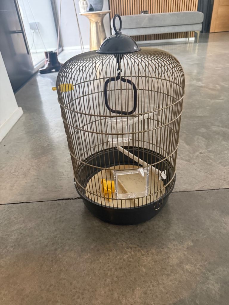Small bird cage 