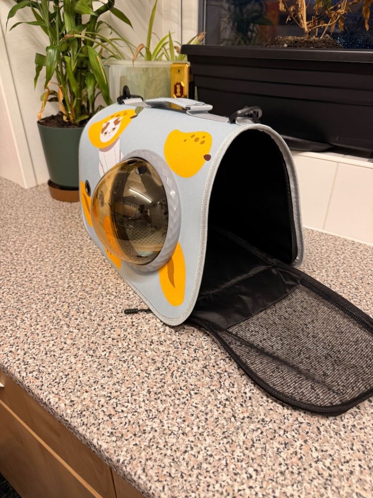 Kittens up to 10 months old carrier bag