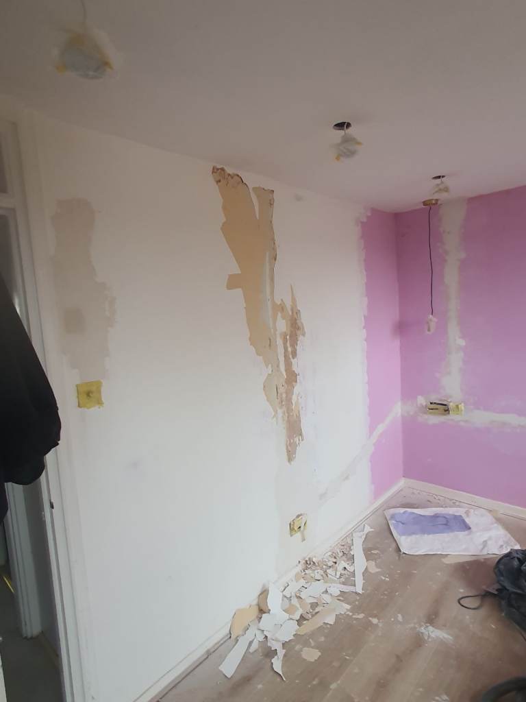 Electric & plastering services 