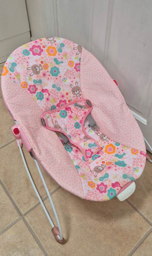 Pink Baby Bouncer