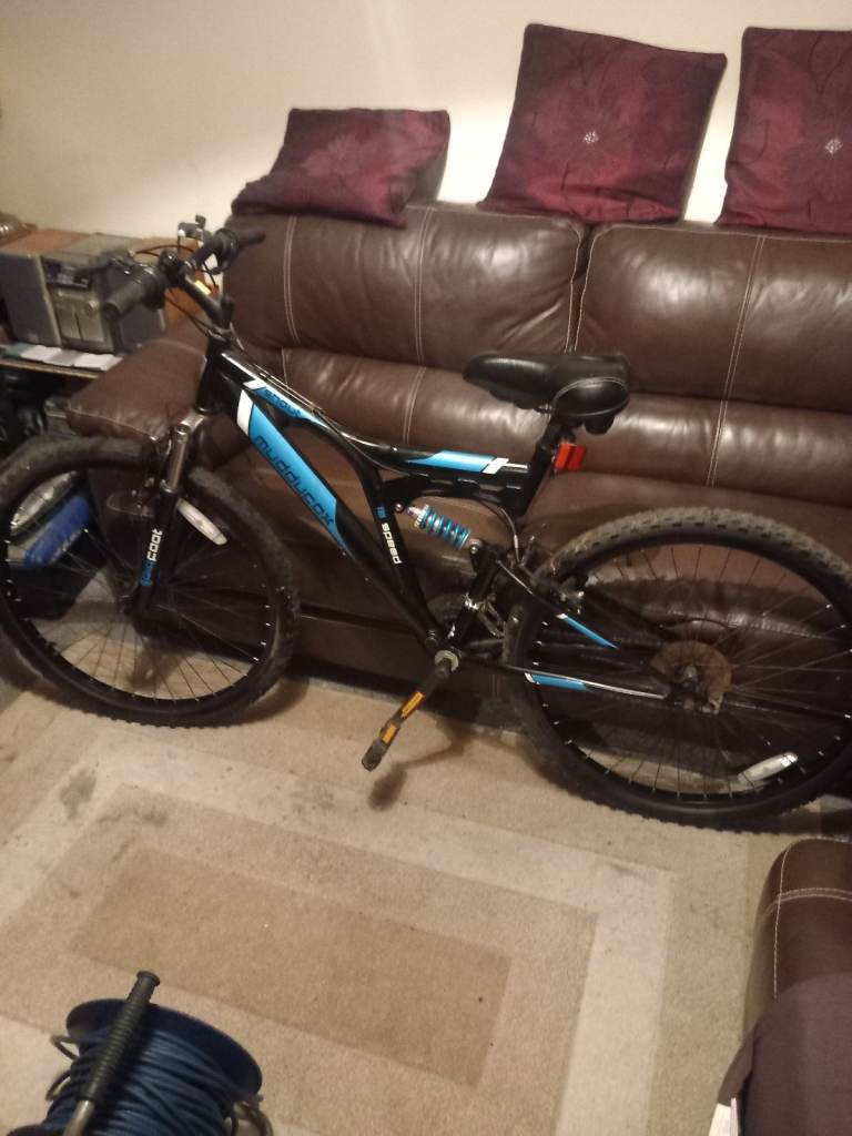 Muddyfox mountain bike