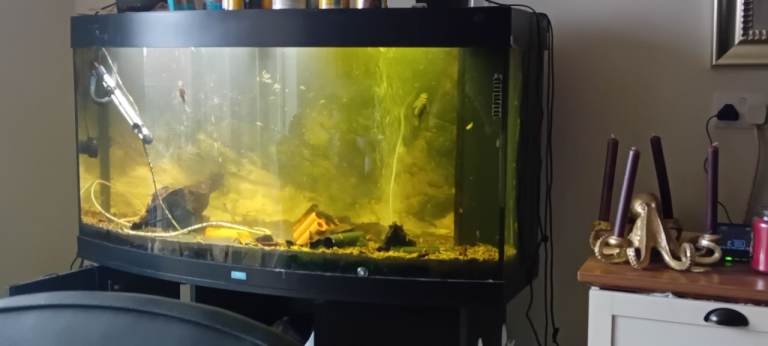 Aquarium for sale
