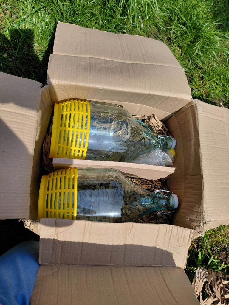 Brand New In Box x2 Demijohn Bottles