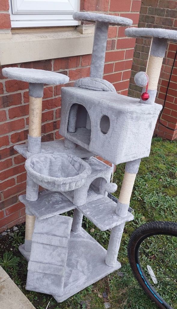 Kitten house for sale 