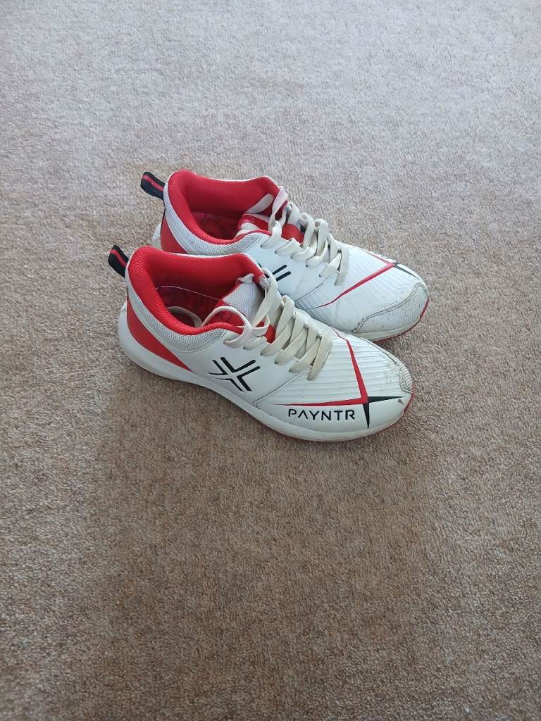 Cricket spikes