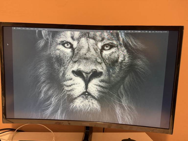 Samsung 24-inch Curved Monitor + Wireless Keyboard and Mouse – Like New!