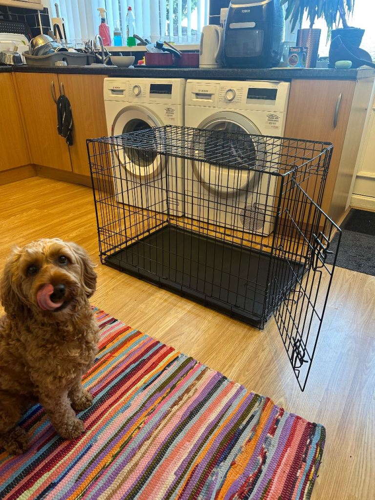 Medium sized dog crate