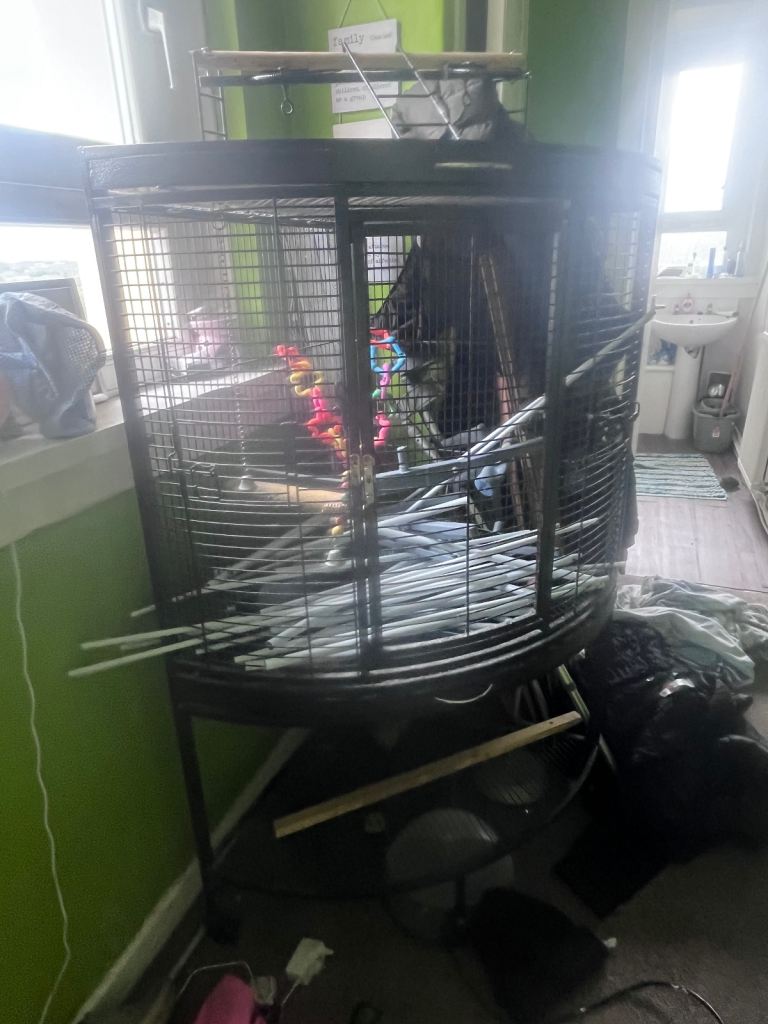 Parrot cage 