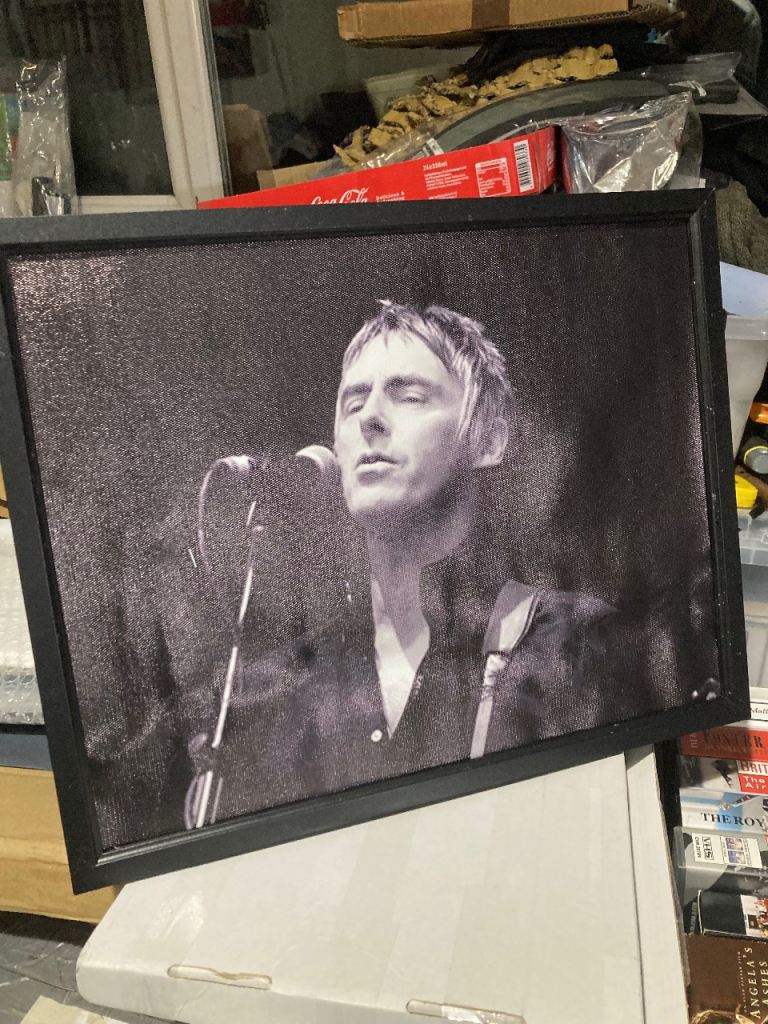 Paul Weller canvas print