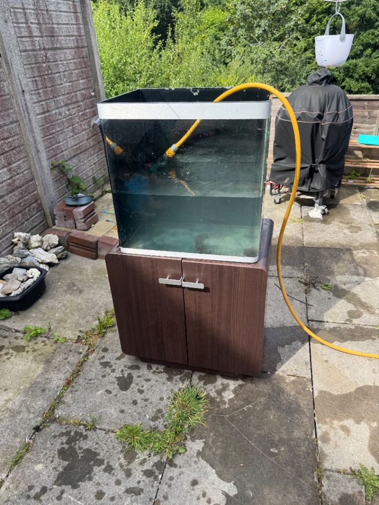 Fish tank 