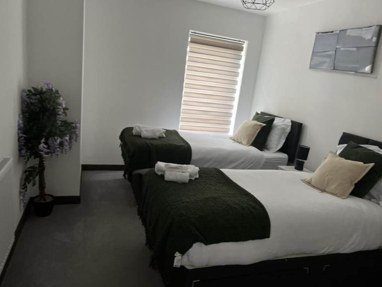 Professional and domestic cleaning services