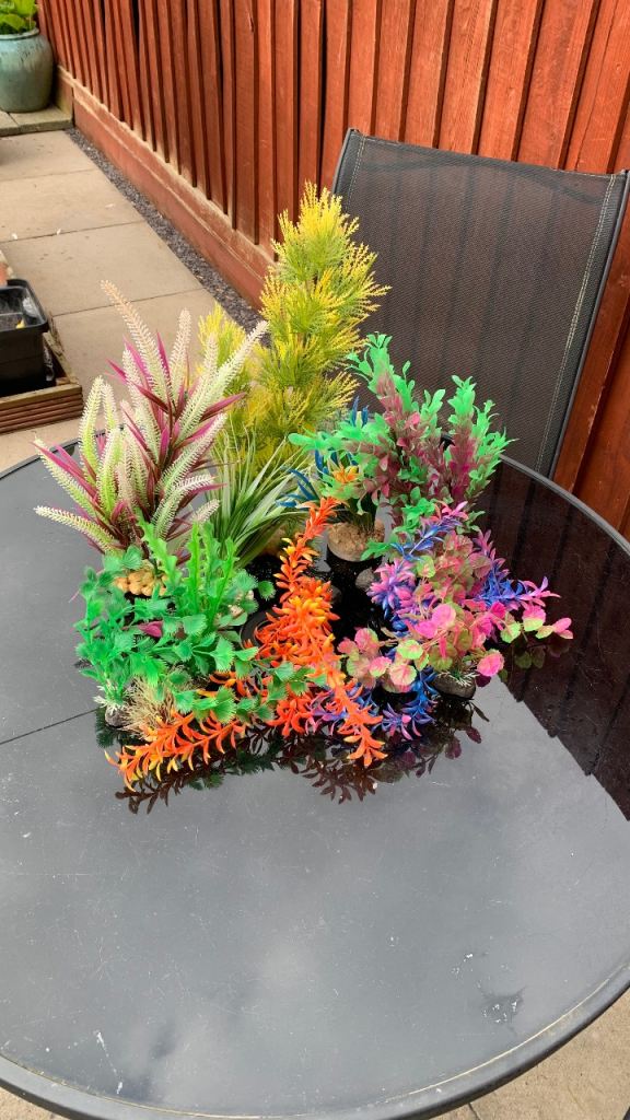 Fish Tank Accessories 