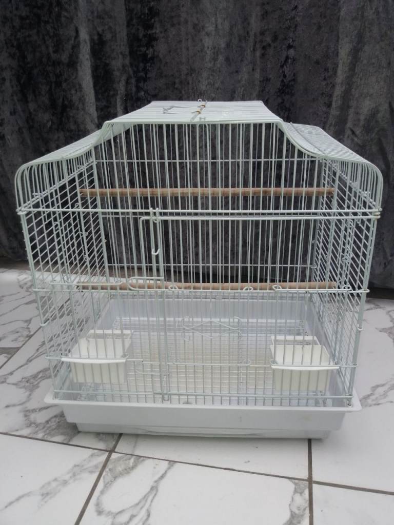 White metal bird cage with perches and feeders
