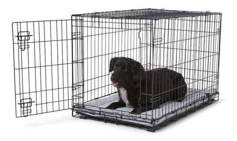 Pets at Home Single Door Folding Medium Pet Crate