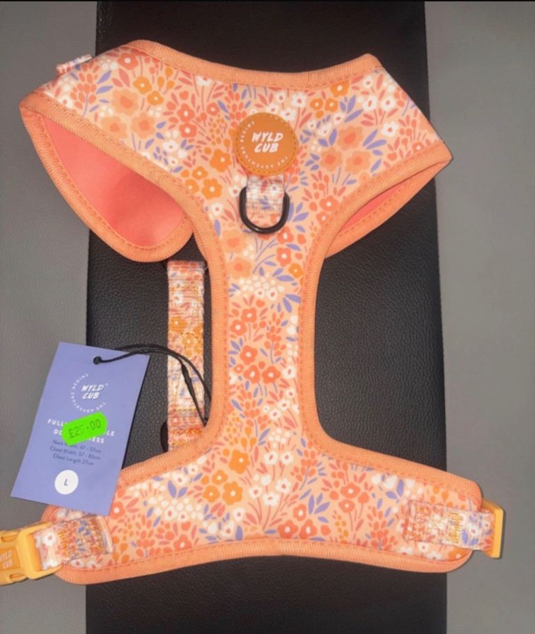 Dog Harness - Large - Orange 