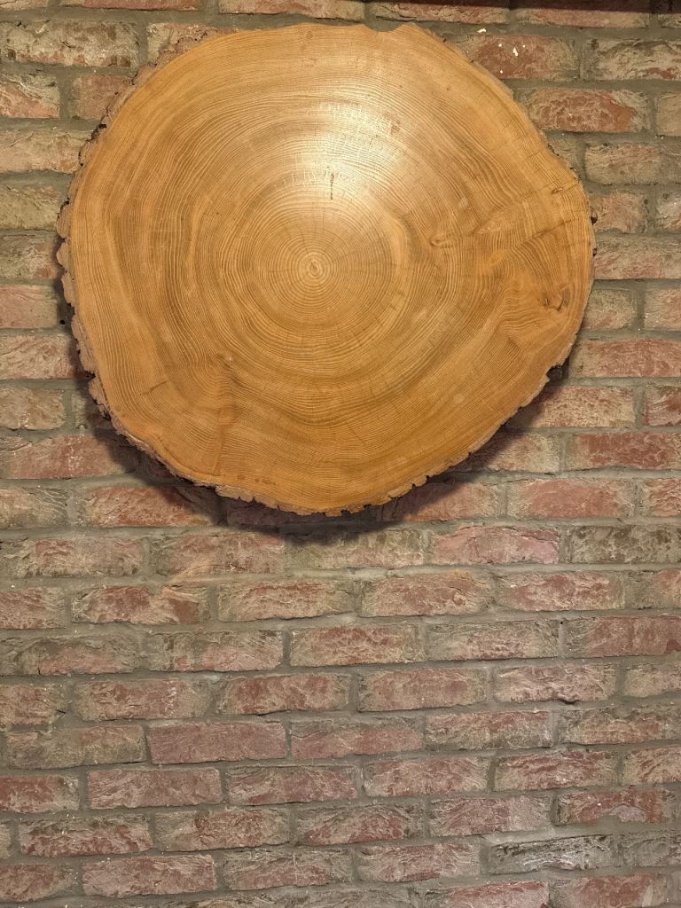 Large Wooden Log Slice - Good Condition