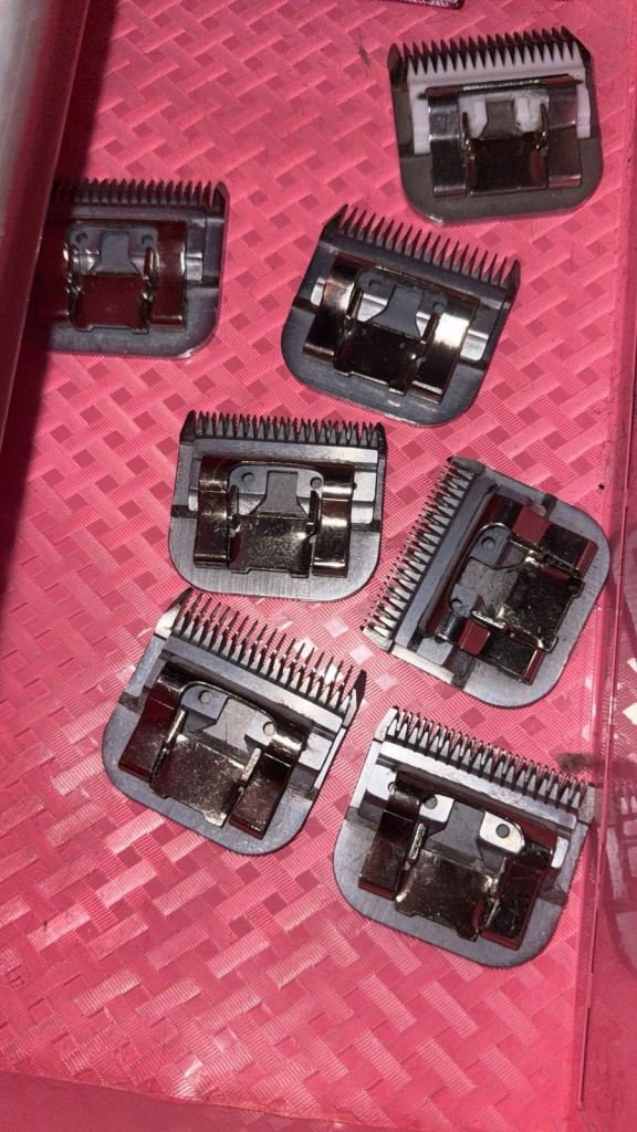 Dog grooming blades 