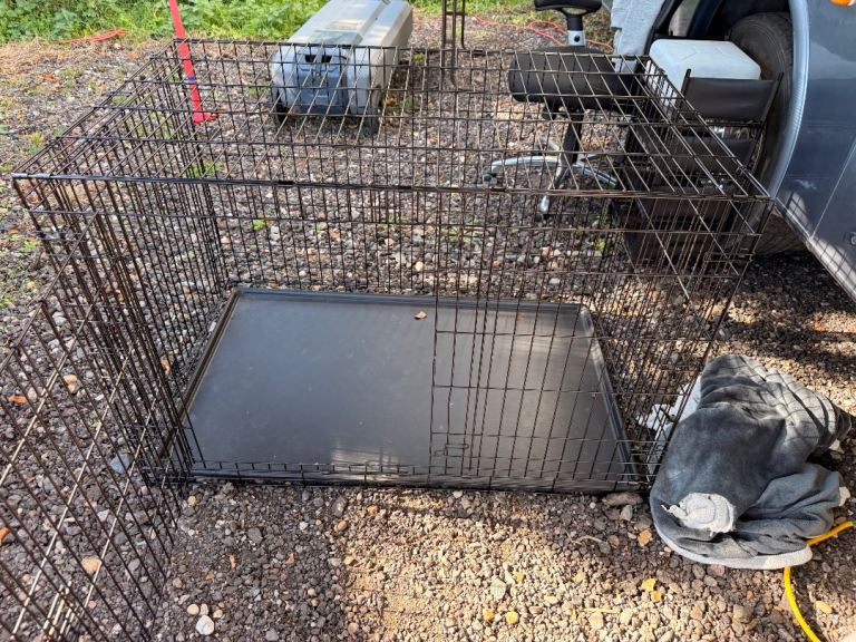 XL Dog crate 