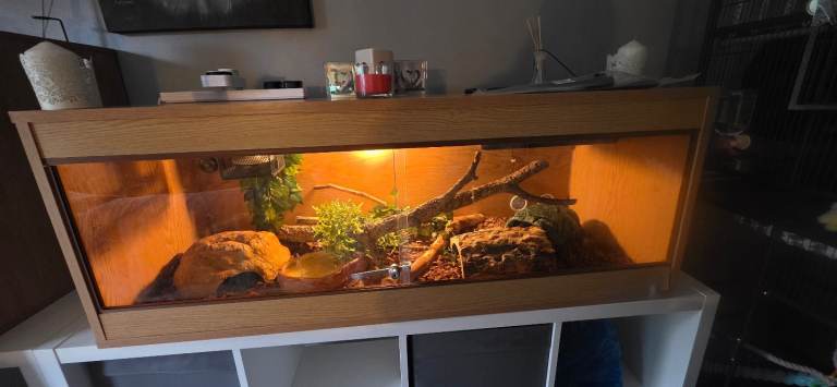 4ft vivarium 