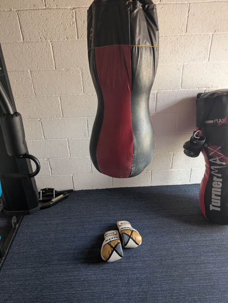 Punch bag and pair of boxing gloves 
