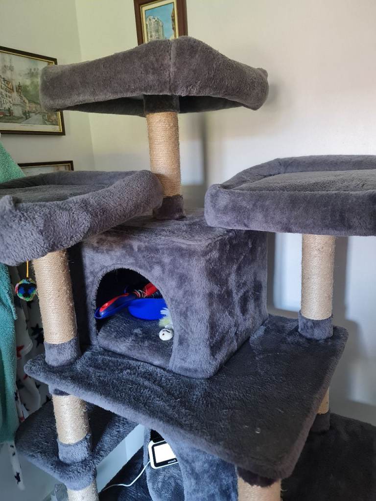 Large cat tree with various sleep platforms.