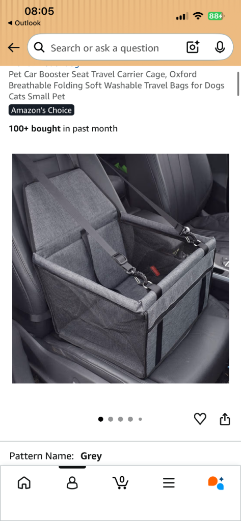 Pet car seat