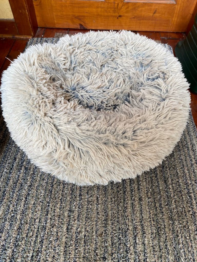 Cat Bed