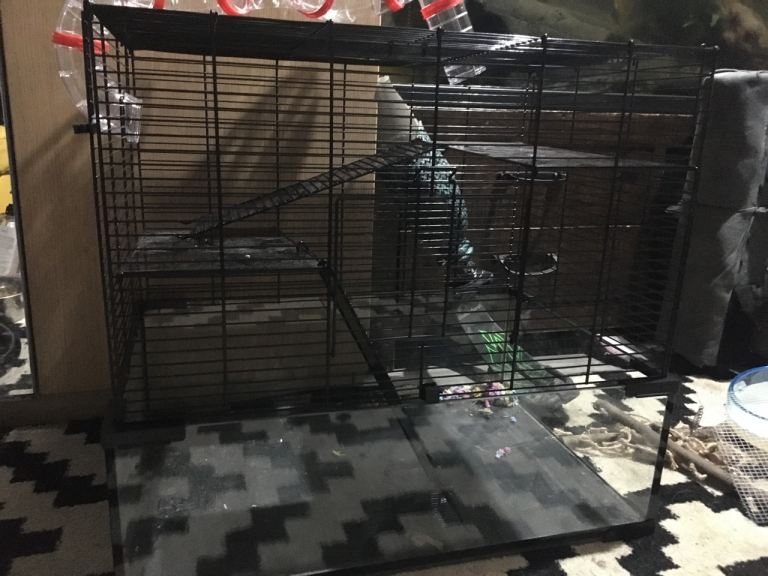 Hamster cage 