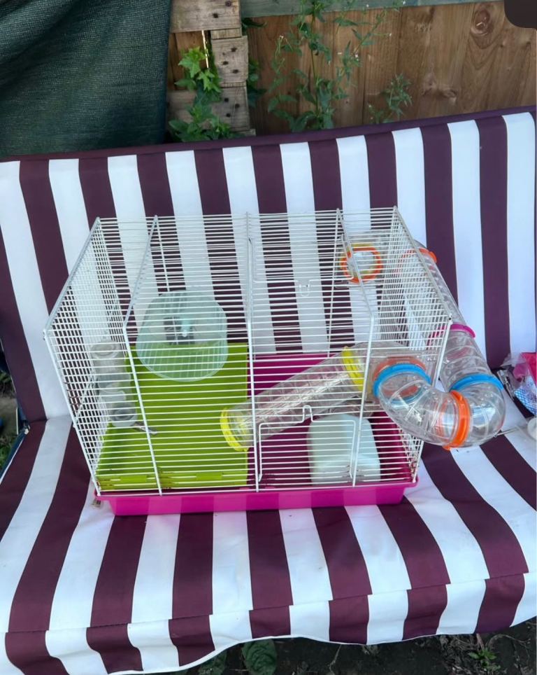 Small animal cage