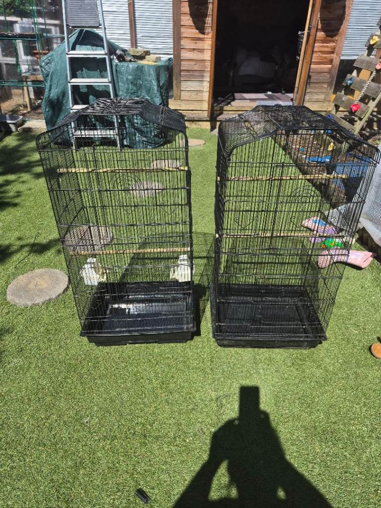 Bird cage