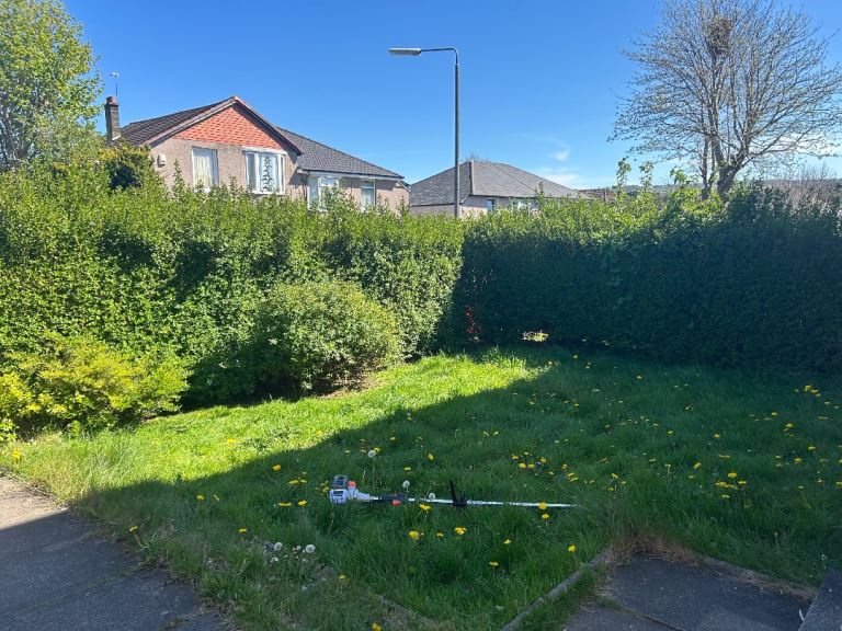 Local service offering anything from grass cuts to fencing! 