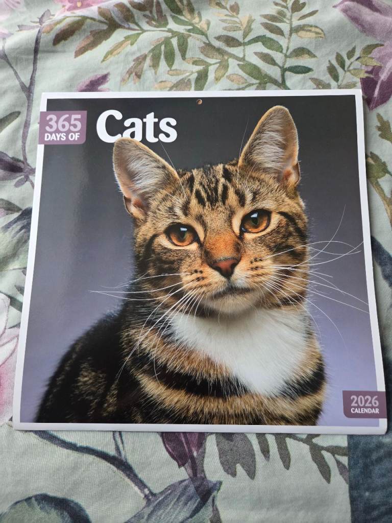 365 days of cats calander 
